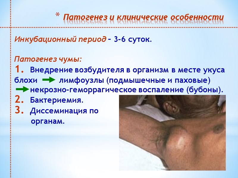 Патогенез и клинические особенности  Инкубационный период – 3-6 суток.   Патогенез чумы: